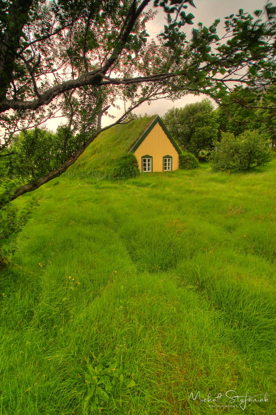 441 IMG 4048 49 50Enhancer